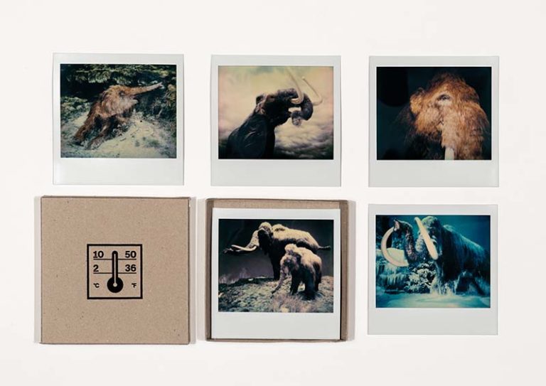 5 Polaroids mit Mammutmotiven und Box von Gerrit Frohne Brinkmann